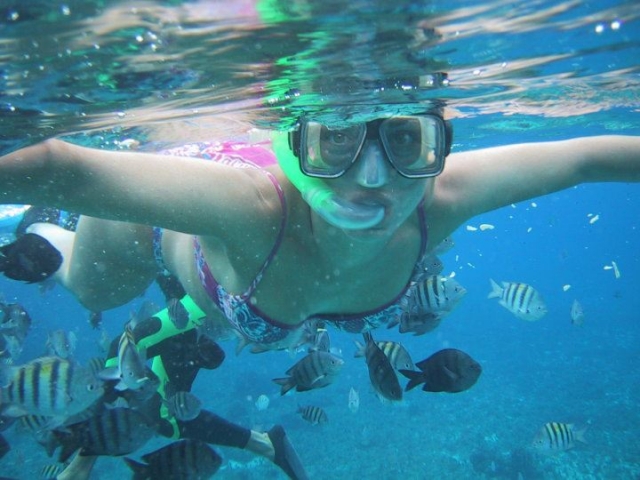 snorkel en arrecifes